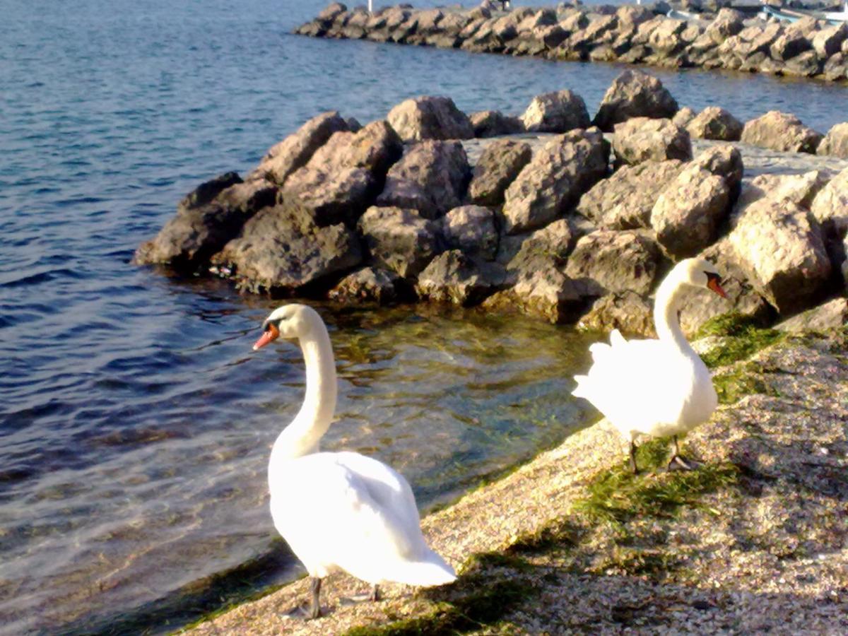 Residenza Al Sogno - On Lake Garda 카바욘베로네세 외부 사진